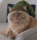 leo.jpg